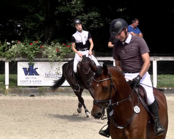 Reitturnier Waiblingen 2017