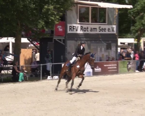 Reitturnier Rot am See- Musdorf 2017