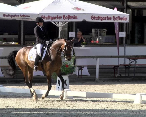 Reitturnier Waiblingen 2017