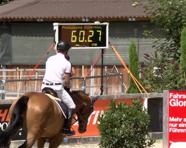 Reitturnier Waiblingen 2017