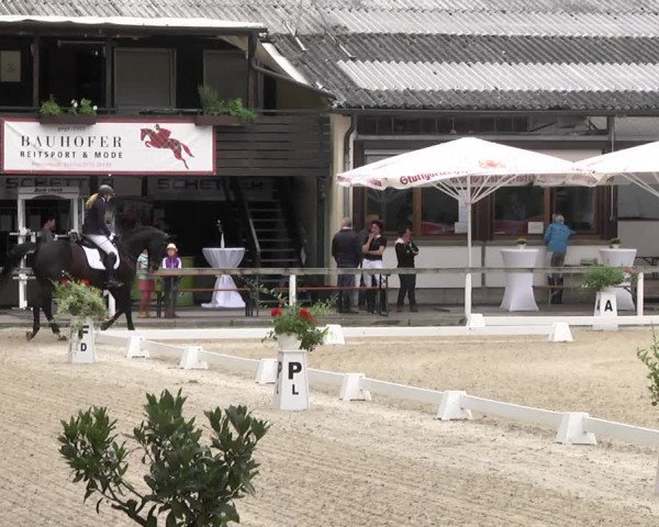 Reitturnier Waiblingen 2017
