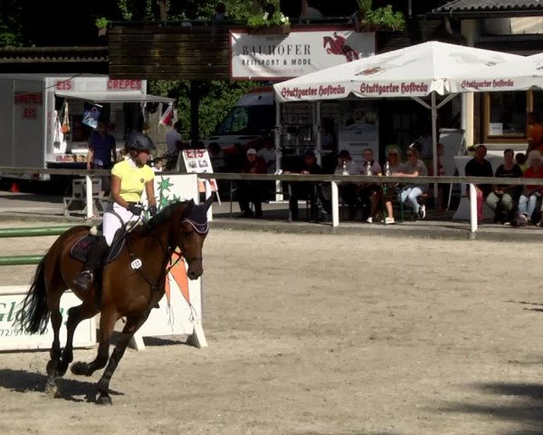 Reitturnier Waiblingen 2017