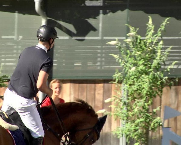 Reitturnier Waiblingen 2017