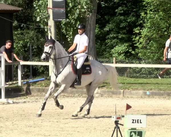Reitturnier Waiblingen 2017