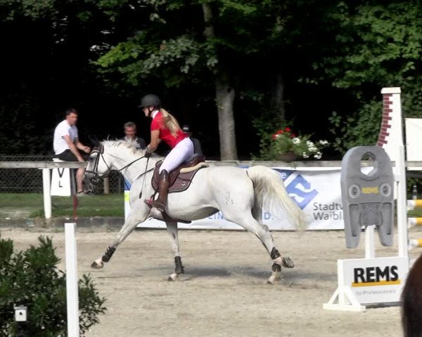 Reitturnier Waiblingen 2017