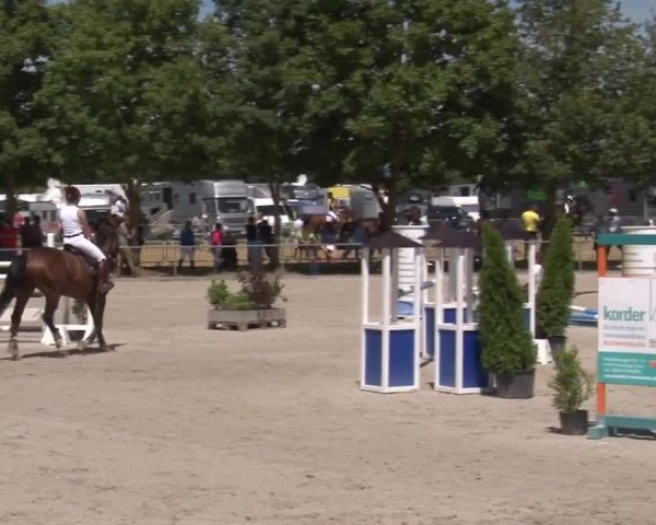 Reitturnier Rot am See- Musdorf 2017