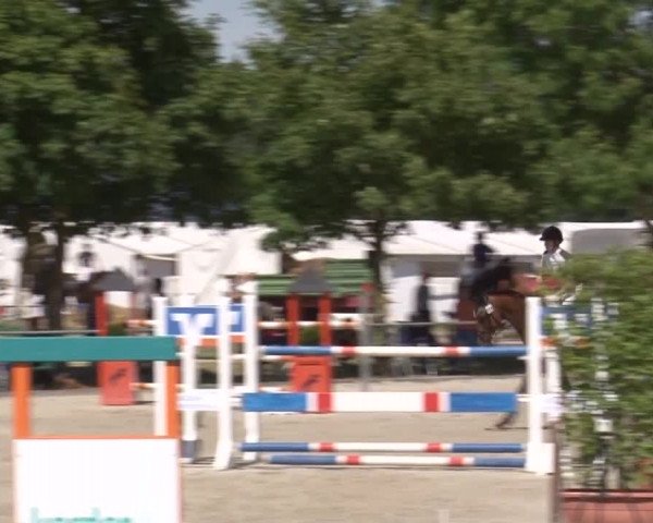 Reitturnier Rot am See- Musdorf 2017