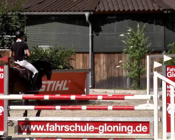 Reitturnier Waiblingen 2017