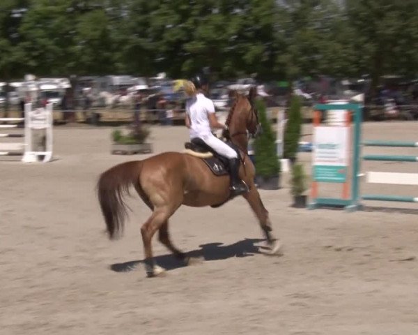 Reitturnier Rot am See- Musdorf 2017