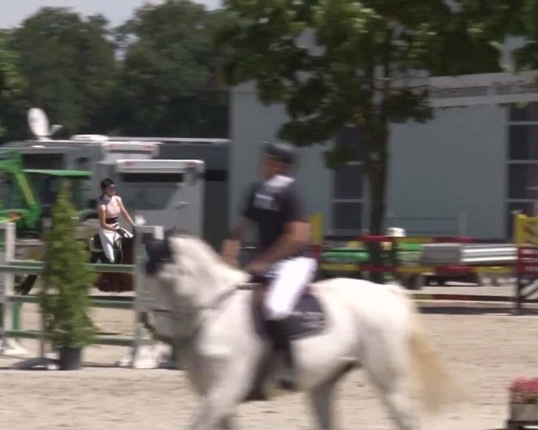 Reitturnier Rot am See- Musdorf 2017