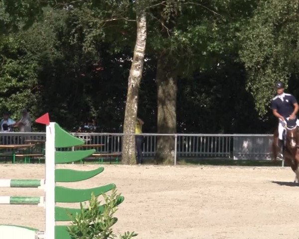 Reitturnier Rot am See- Musdorf 2017