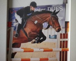 broodmare Florestana Mae (Westphalian, 2001, from Florestan I)
