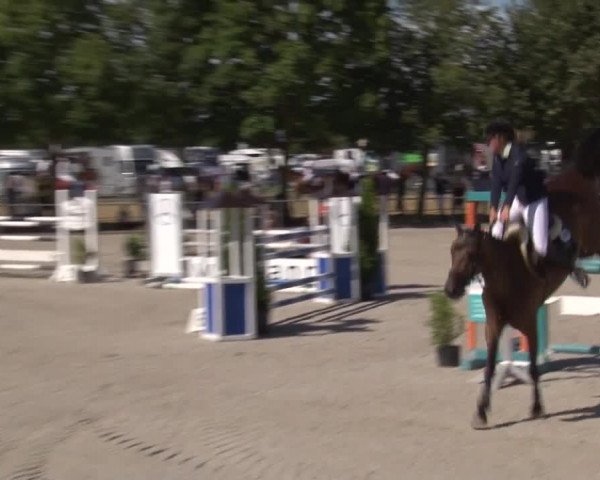 Reitturnier Rot am See- Musdorf 2017