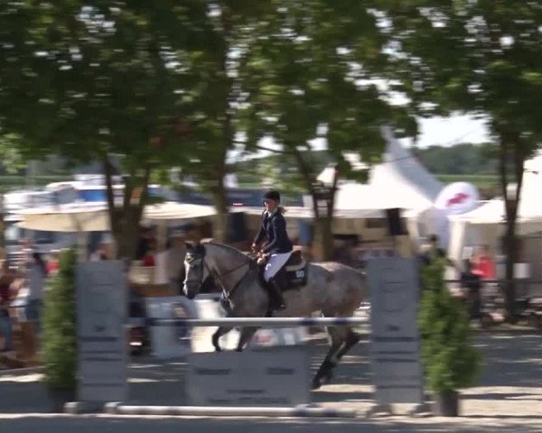 Reitturnier Rot am See- Musdorf 2017