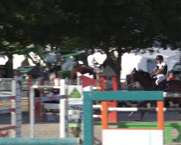 Reitturnier Rot am See- Musdorf 2017