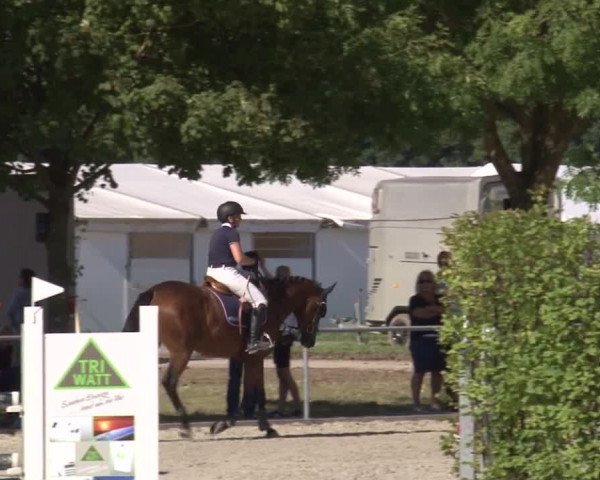 Reitturnier Rot am See- Musdorf 2017