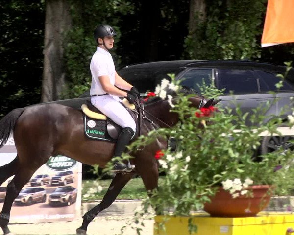 Reitturnier Waiblingen 2017