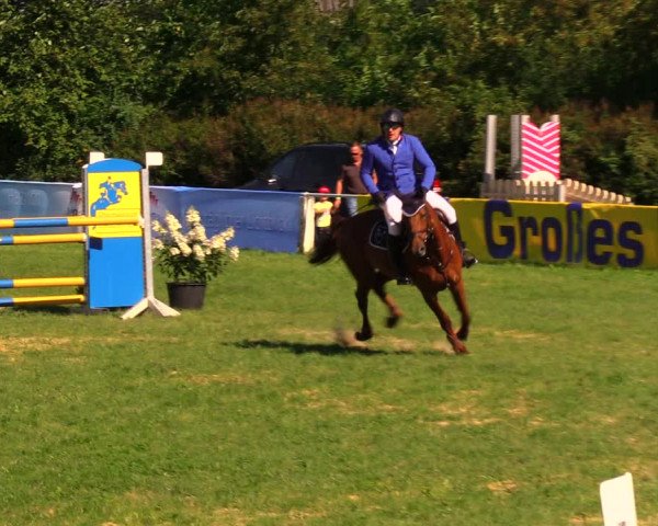 Reitturnier Baschütz bei Bautzen 2017