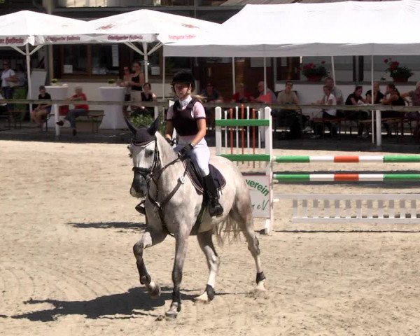 Reitturnier Waiblingen 2017