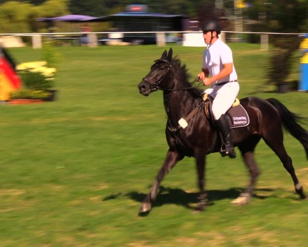 Reitturnier Baschütz bei Bautzen 2017