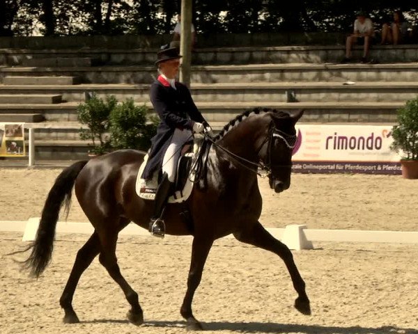 Reitturnier Waiblingen 2017