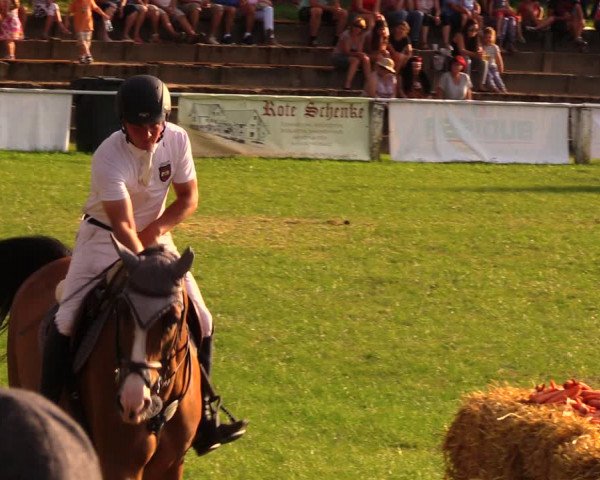 Reitturnier Baschütz bei Bautzen 2017