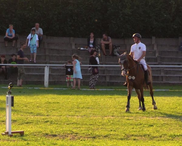 Reitturnier Baschütz bei Bautzen 2017
