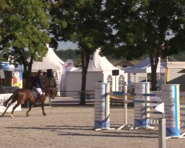 Reitturnier Rot am See- Musdorf 2017