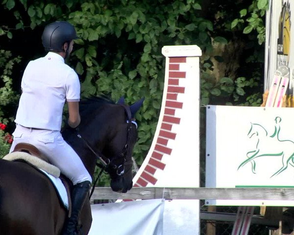 Reitturnier Waiblingen 2017