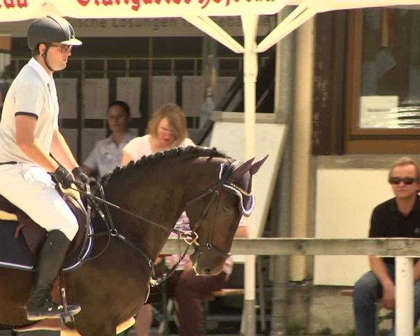 Reitturnier Waiblingen 2017