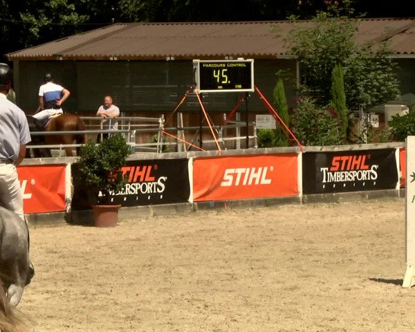 Reitturnier Waiblingen 2017