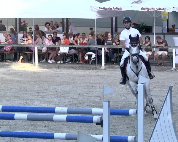 Reitturnier Waiblingen 2017