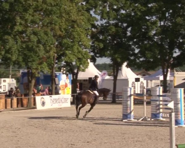 Reitturnier Rot am See- Musdorf 2017