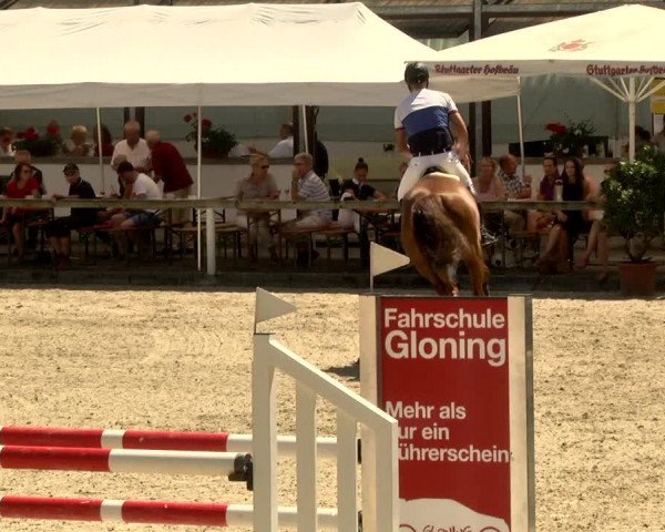 Reitturnier Waiblingen 2017