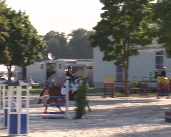 Reitturnier Rot am See- Musdorf 2017