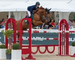 broodmare Circe du Roset CH (Swiss Warmblood, 2006, from Tinka's Boy)