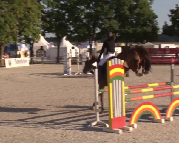 Reitturnier Rot am See- Musdorf 2017