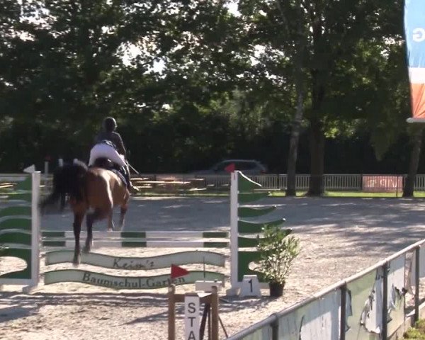 Reitturnier Rot am See- Musdorf 2017