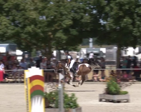 Reitturnier Rot am See- Musdorf 2017