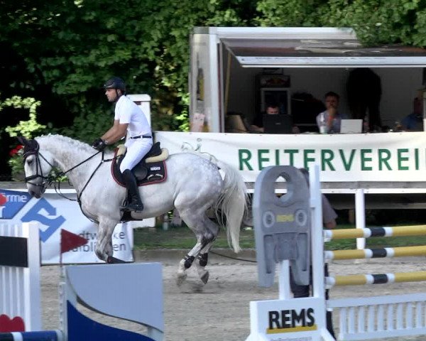 Reitturnier Waiblingen 2017