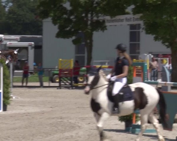 Reitturnier Rot am See- Musdorf 2017