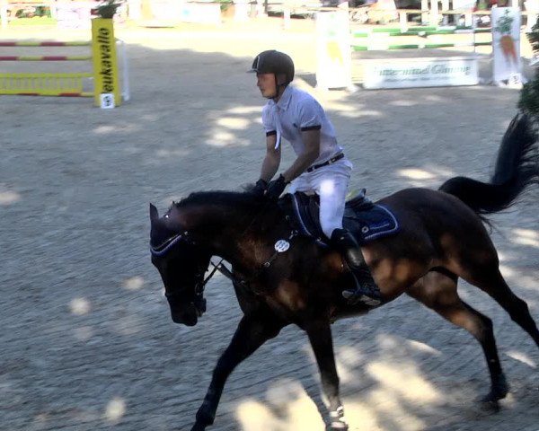 Reitturnier Waiblingen 2017