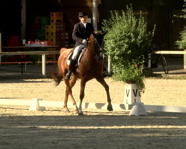 Reitturnier Waiblingen 2017