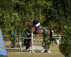 Springpferd Aieda (Westfale, 2003, von Amantus)