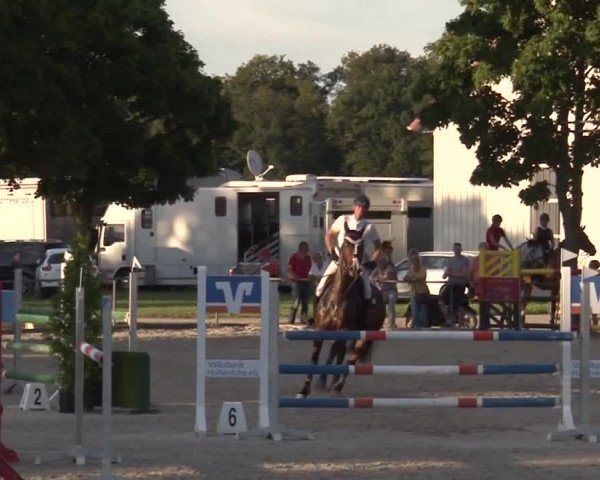 Reitturnier Rot am See- Musdorf 2017