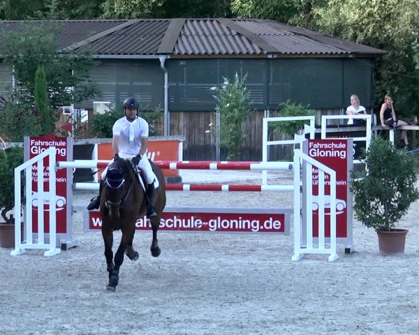 Reitturnier Waiblingen 2017