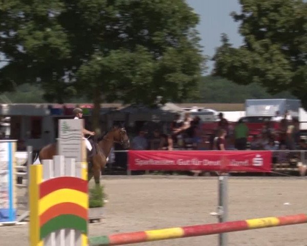 Reitturnier Rot am See- Musdorf 2017