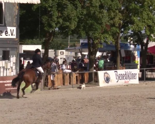 Reitturnier Rot am See- Musdorf 2017