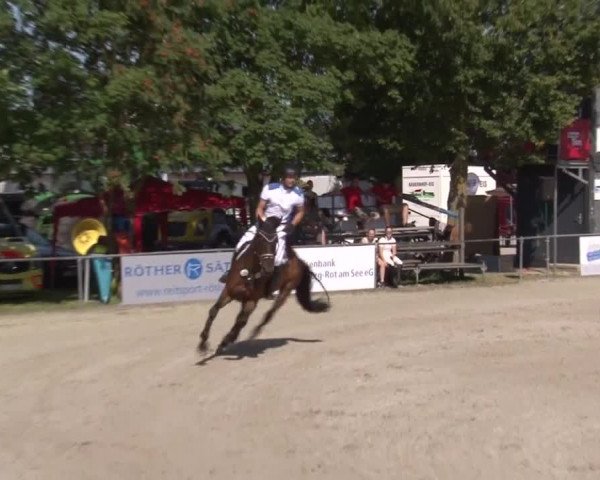 Reitturnier Rot am See- Musdorf 2017