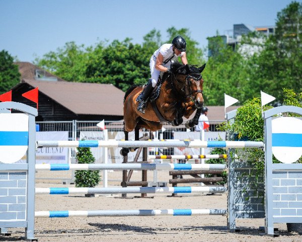 jumper Limbusetta (Holsteiner, 2003, from Limbus)